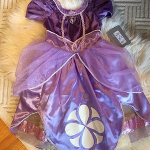 Disney Store Princess Sofia Dress / Costume